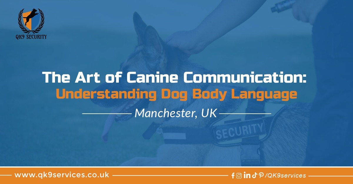 The Art of Canine Communication: How To Read Dog Body Language