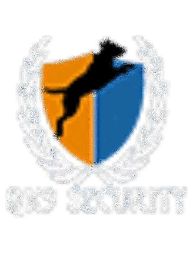 qk9 logo