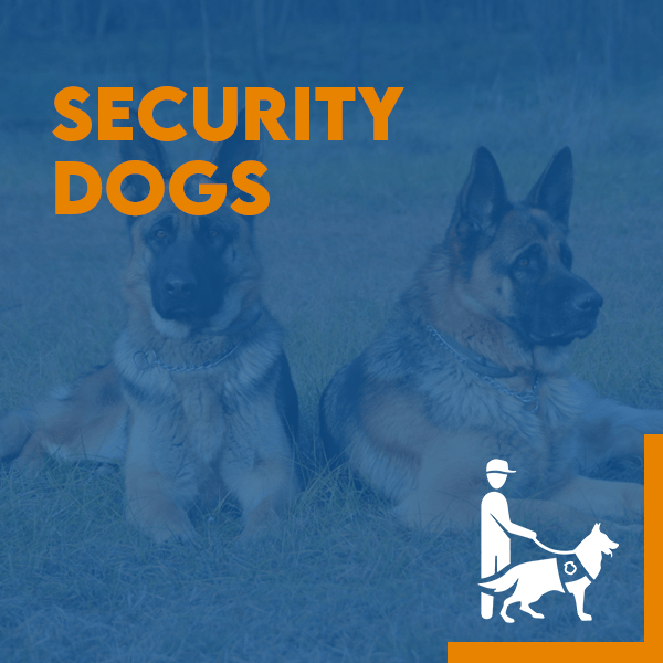 Security Dogs