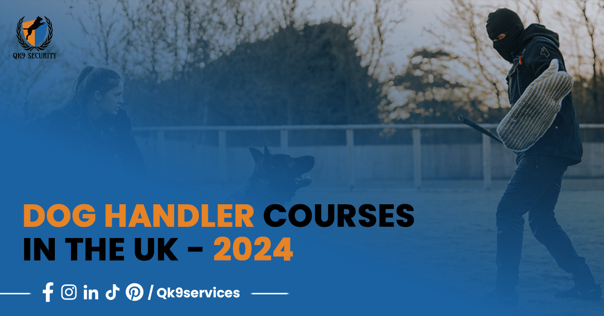 Dog Handler Courses in the UK – 2024 