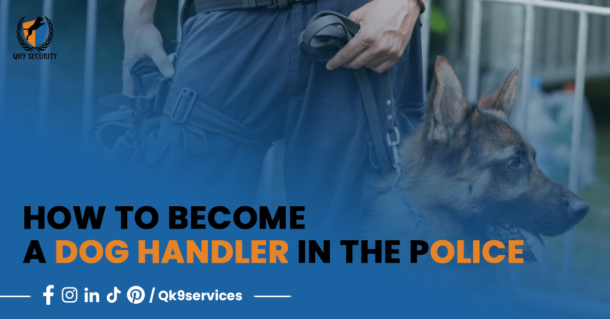 How to Become a Police Dog Handler