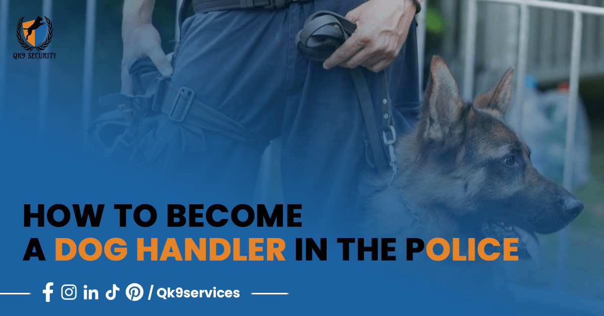 How To Become A Police Dog Handler QK9 Security Services