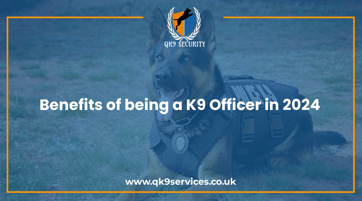Benefits of being a K9 Officer in 2024