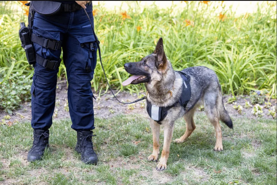 Police Dog Handlers