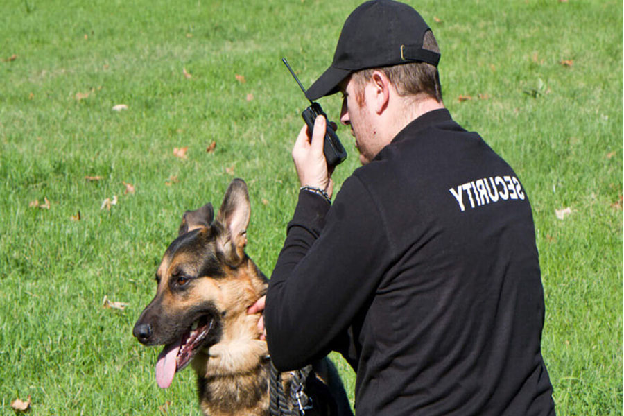 k9 security dog units