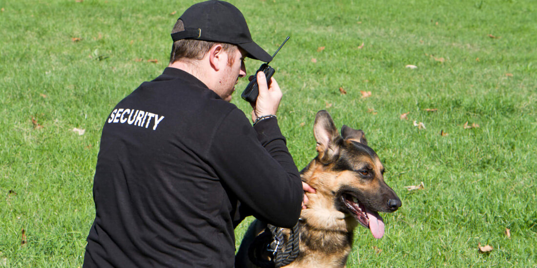 K9 Security Dog Units and Dog Patrols in the United Kingdom