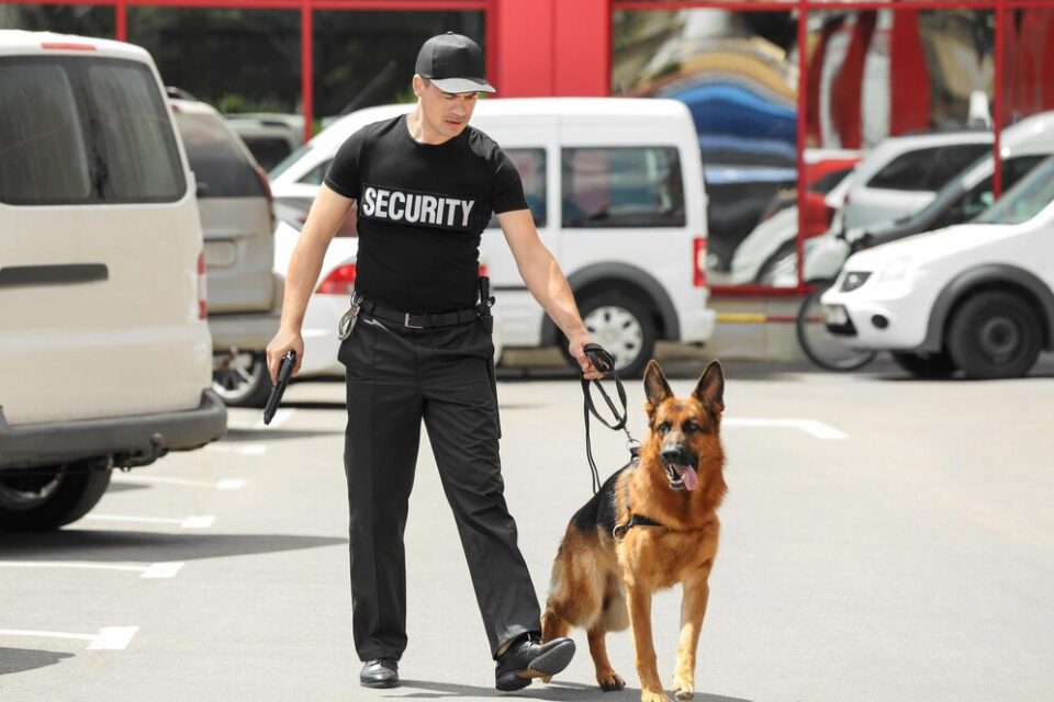K9 Security Protect UK Businesses Better
