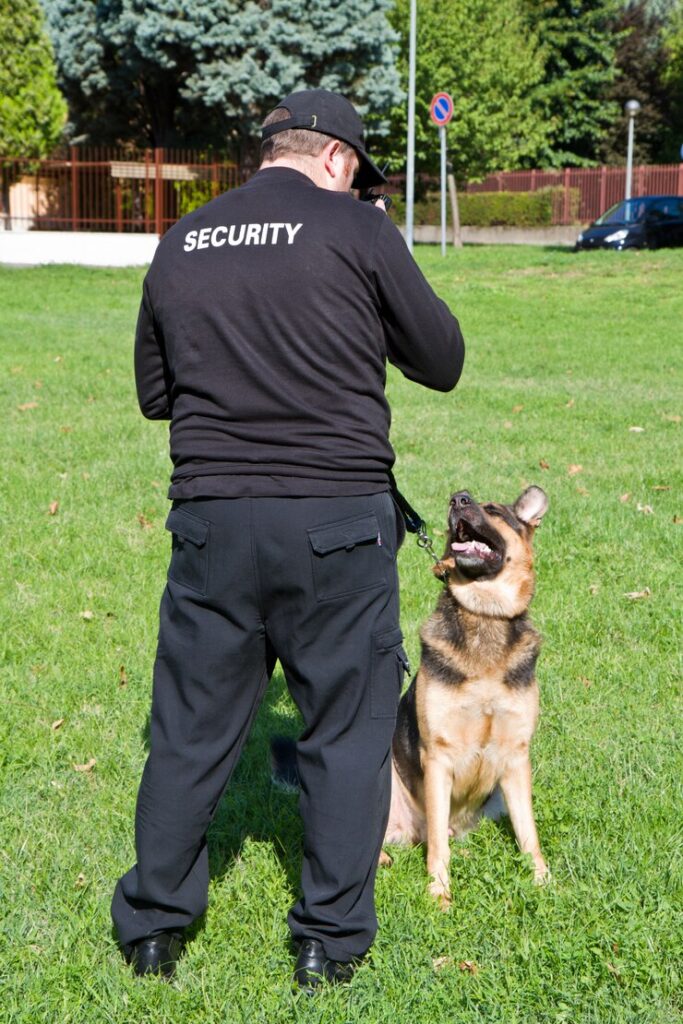 Dog Handler Services in England