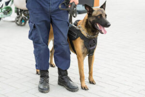 Dog handler services in London