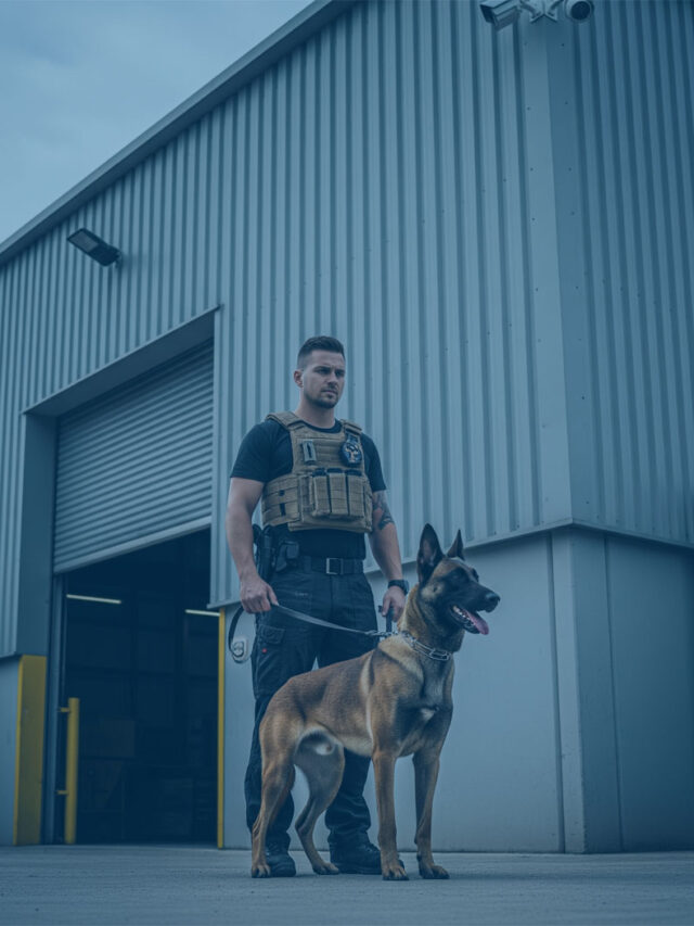How Protection Dogs Are Safeguarding UK Warehouses and Industrial Sites