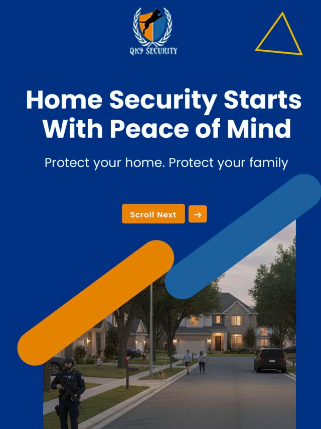 Professional Home Security Solutions