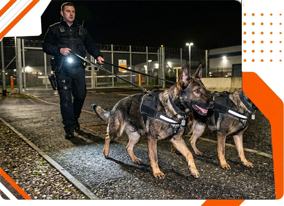 Security Guard Dogs
