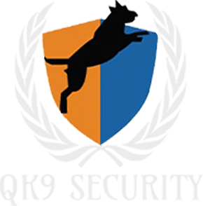 QK9 logo